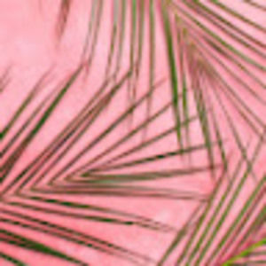 Meet your Posher, Mackenzie